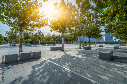 beautiful park at a sunny day, shanghai, china