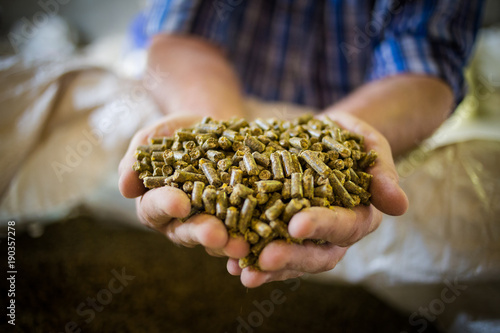 Close up image of hands holding animal feed at a stock yard