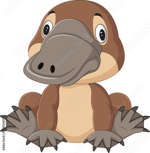 Cartoon funny platypus isolated on white background