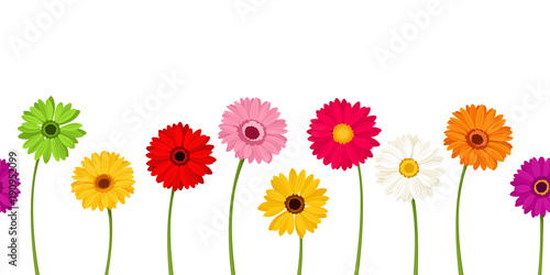 Vector horizontal seamless background with colorful gerbera flowers.