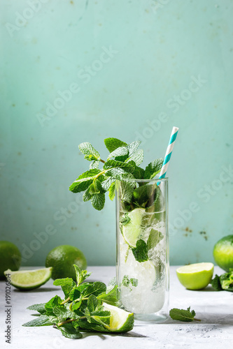 Glass of classic mojito cocktail with fresh mint, limes, crushed ice, retro cocktail tubes with ingredients above. Pin up style, sunlight, green background.