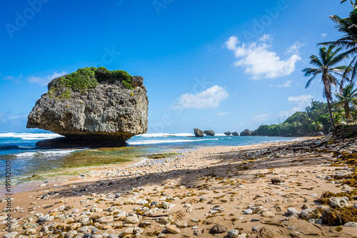 Bathsheba Beach