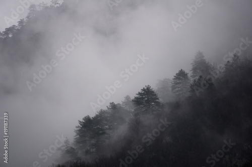 Dark, mysterious landscape in the haunted mountains of Romania