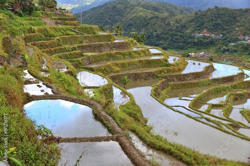 Philippines rice terraces - Hapao