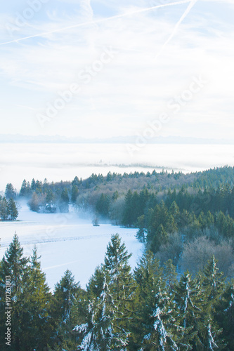 Wald versinkt im Schnee und Nebelmeer