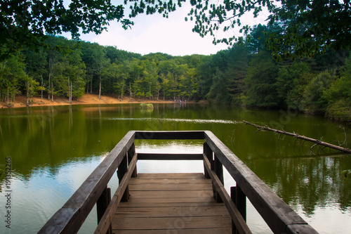 Green forest lake view from wooden pier. Foresta Umbra Park, Italy.