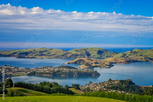 Dunedin town and bay as seen from the hills above