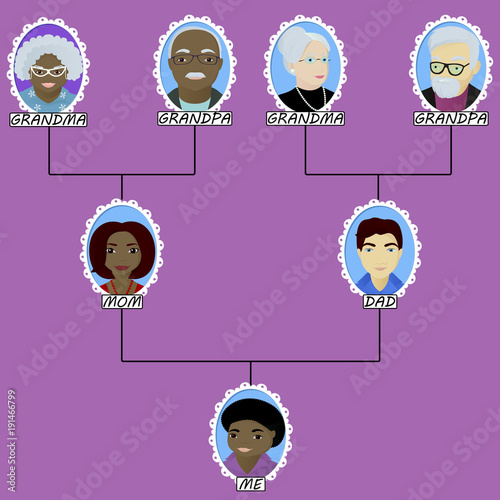 Cartoon family tree of the boy born in interracial marriage
