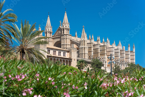 Majorca - Palace of the Almudaina - Cathedral La Seu - 9298
