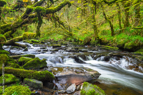 Mountain creek of Clare Glens in Co. Limerick, Ireland