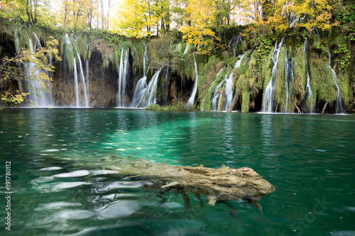 A log is submerged under the clear turquoise waters with waterfalls and golden and green trees in the background. This was taken in Plitvice Lakes National Park. The moss is light green.