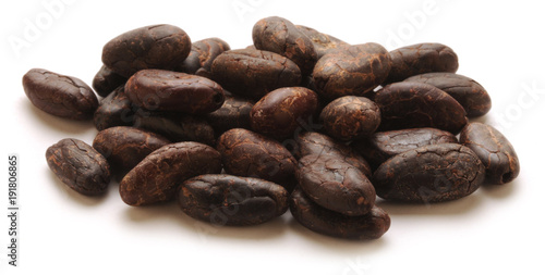 Theobroma cacao Կակաո 카카오 Kakó شجرة Kakaó Kakaowiec właściwy növényfaj كاكاو