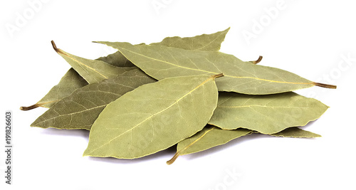 Bay leaves isolated on white background