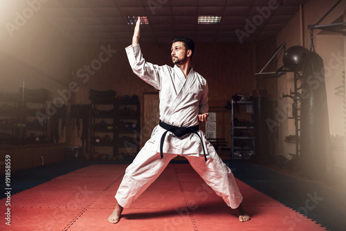 Martial arts master on judo training in gym