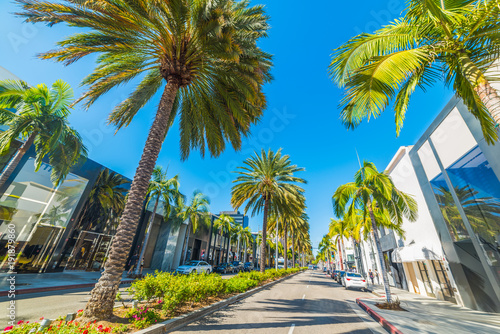 Palm trees in Rodeo Drive