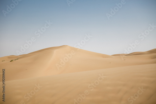 Sad Dunes