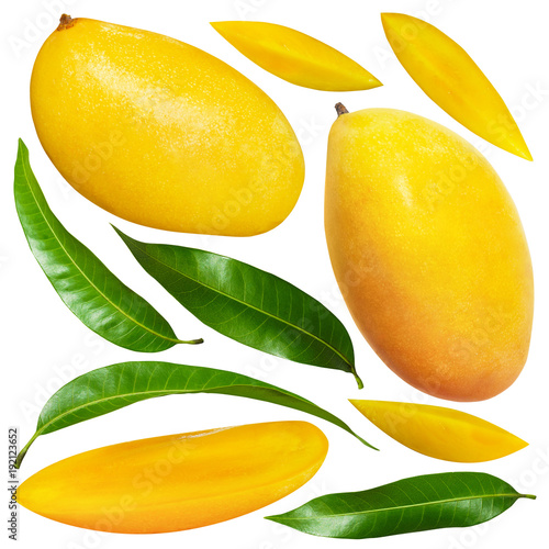 Yellow mango with leaves isolated on white background with clipping mask