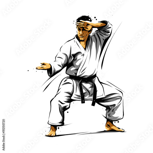 karate action 6