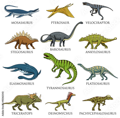 Dinosaurs set, Tyrannosaurus rex, Triceratops, Barosaurus, Diplodocus, Velociraptor, Triceratops, Stegosaurus, skeletons, fossils. Prehistoric reptiles, Animal Hand drawn vector.