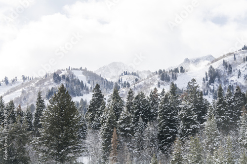 snowy mountain peak landscape in wasatch mountain range during snow storm.