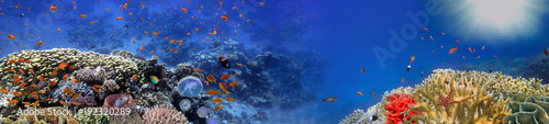 Podwodna panorama, rafa koralowa i ryby