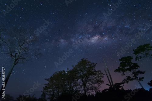 starry night and milky way galaxy night photograph. image contain soft focus, blur and noise due to long expose and high iso.
