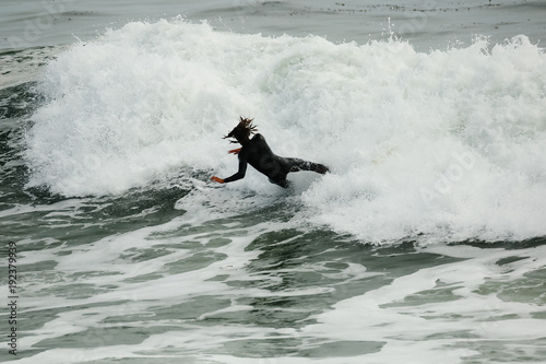 Surfer in large wave wipes out and falls off surf board