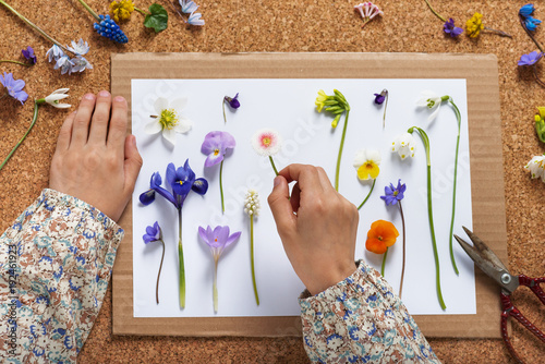 Child makes a herbarium of different spring flowers. Children education concept. Selective focus.