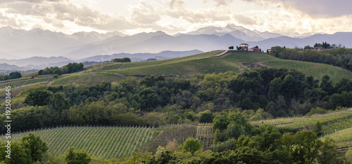 Gattinara hills