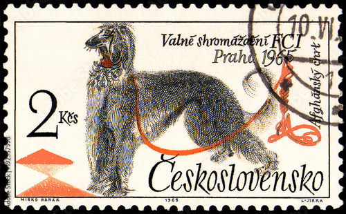 CZECHOSLOVAKIA - CIRCA 1965: a stamp, printed in Czechoslovakia, shows a Afghan Hound