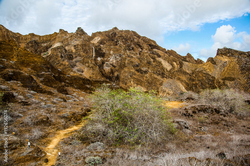 Trails in the upper part of Punta Pitt