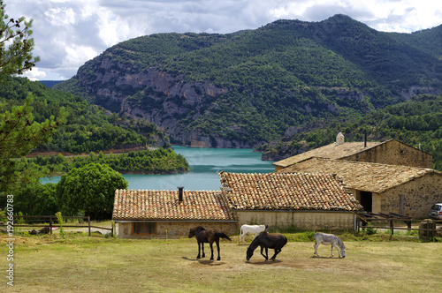 The stud farm by the Llosa del Cavall lake, Lleida province, Catalonia, Spain.