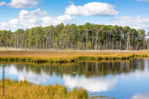 Blackwater National Wildlife Refuge in Dorchester County, Maryland