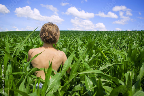 Topless girl on green corn field 