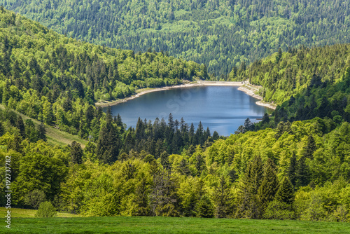 Idyllic lake (Le lac de la lande) surrounded by green forest, landscape in french Alsace on Route of Crete, France, Europe 