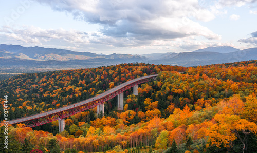 a autumn forest in Hokkaido , Japan with a high way through the forest at Mikuni Pass