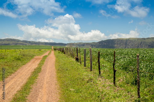 soybean plantation road montain brazil