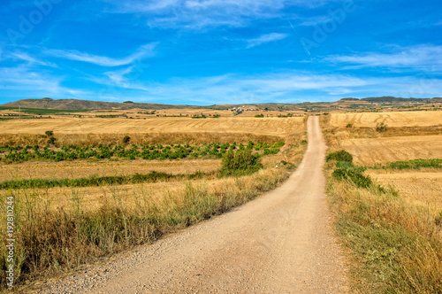 The road to Santiago through Navarra with blue sky