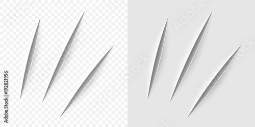 Vector realistic cut with a office knife