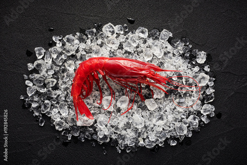 Fresh big red shrimp on ice on a black stone table top view