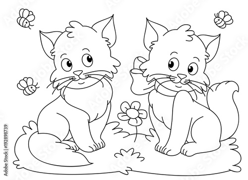 Funny cats coloring book vector