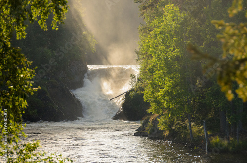 Waterfall in northern Finland in summer. Golden sunlight.