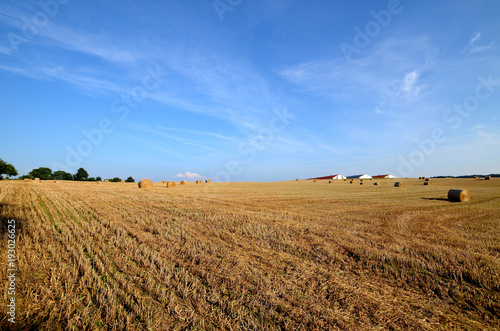 A field with straw bales