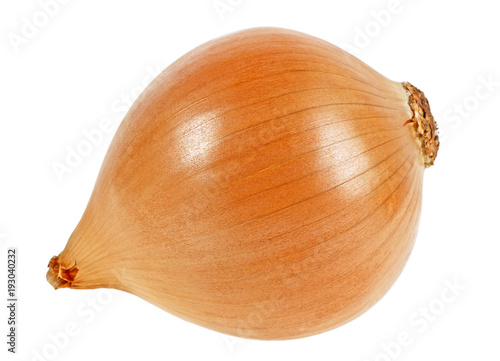 Yellow onion on a white background