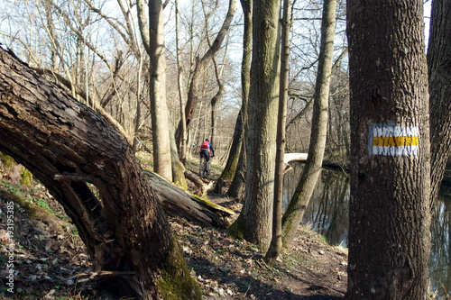 Wycieczka rowerowa w labiryncie drzew żółtym Bursztynowym Szlakiem z Kolbud, Polska