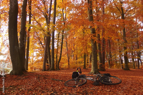 Jesienna wycieczka rowerowa