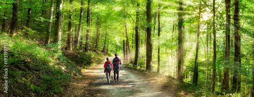 Aktivurlaub im Frühling bei einer Wanderung im Wald