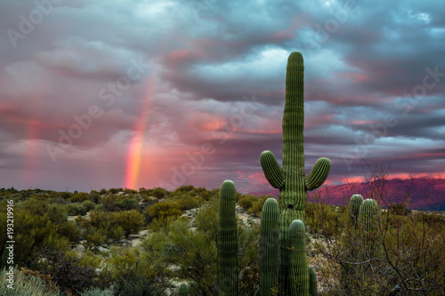 A Winter storm begins to clear at sunset and a rainbow arcs over the Sonoran Desert near Tucson, Arizona.