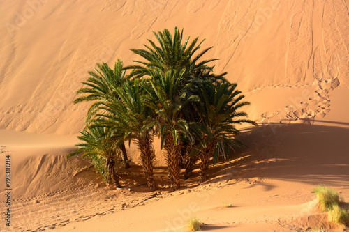 Sahara Desert, Erg Chebi dunes. Merzouga, Morocco