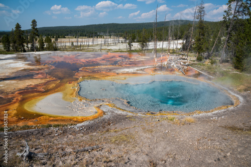 Boiling hot colorful geyser pools of Yellowstone Park